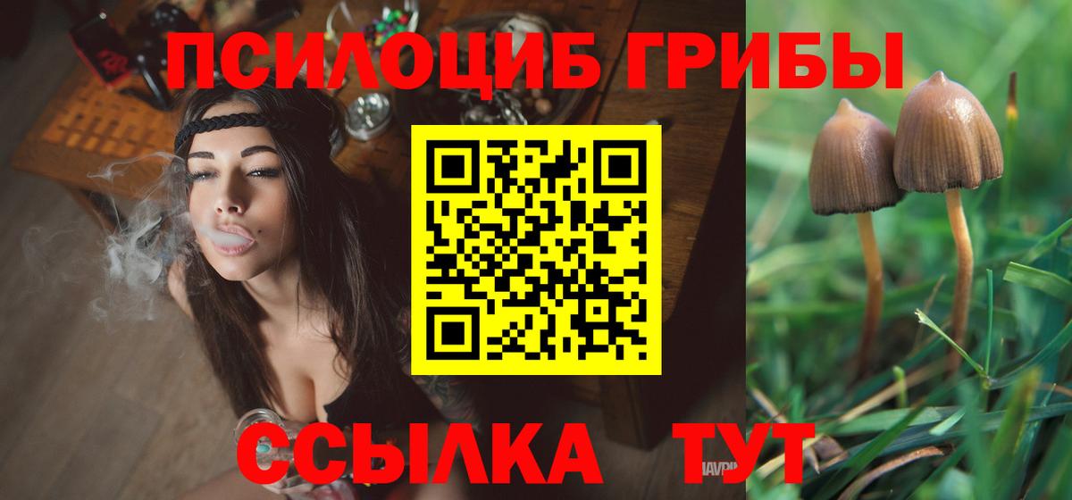 Лосино-Петровский  Галлюциногенные грибы Psilocybine cubensis  купить   Галлюциногенные грибы Psilocybe  Вход с VPN 